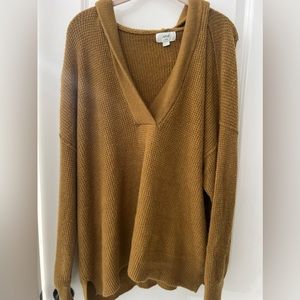 Aerie sweater with hoodie